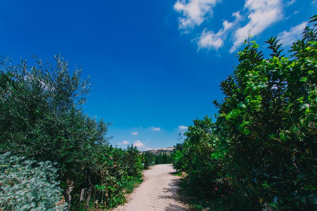 Tur Sinai Organic Farm Resort Йерусалим Екстериор снимка