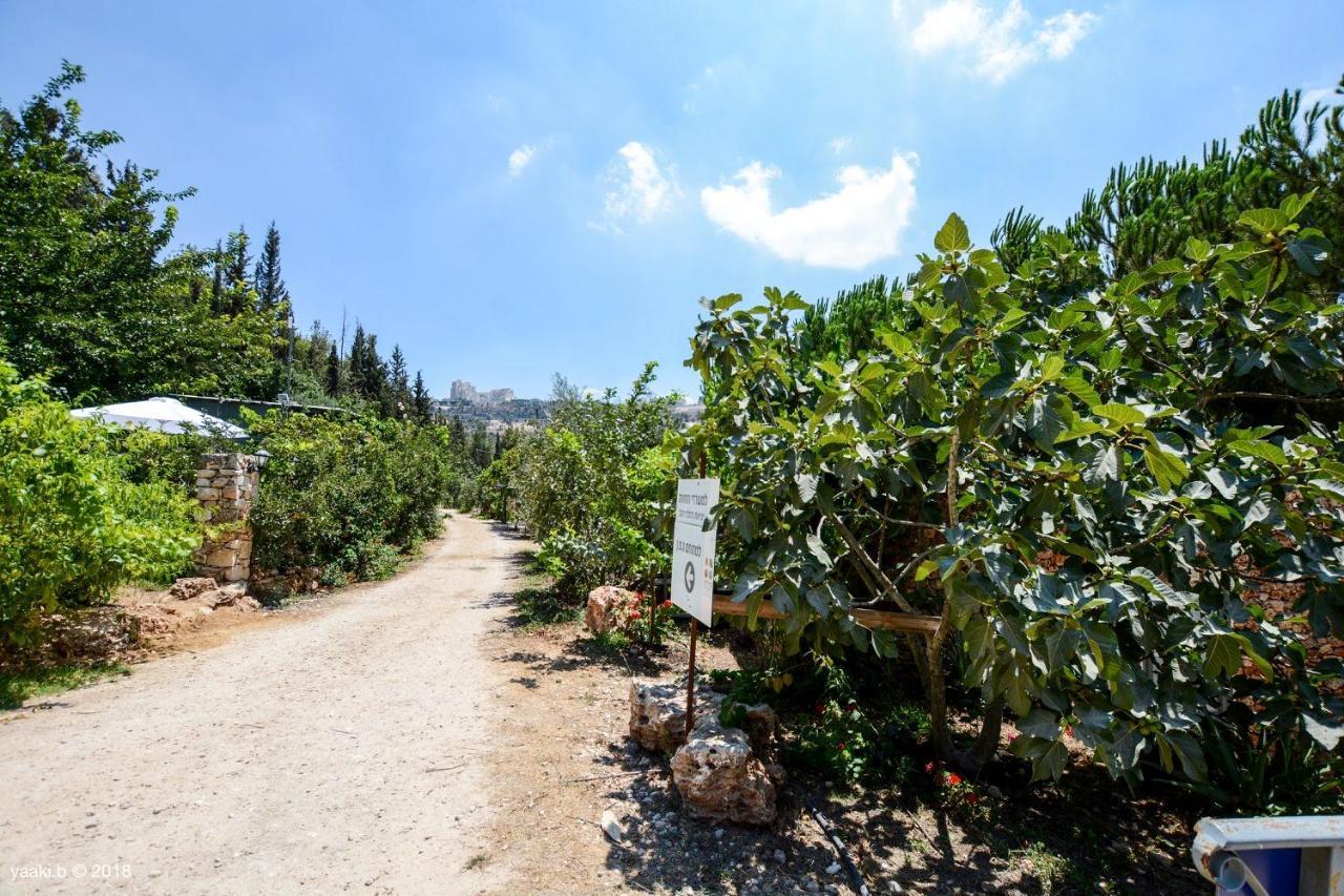 Tur Sinai Organic Farm Resort Йерусалим Екстериор снимка