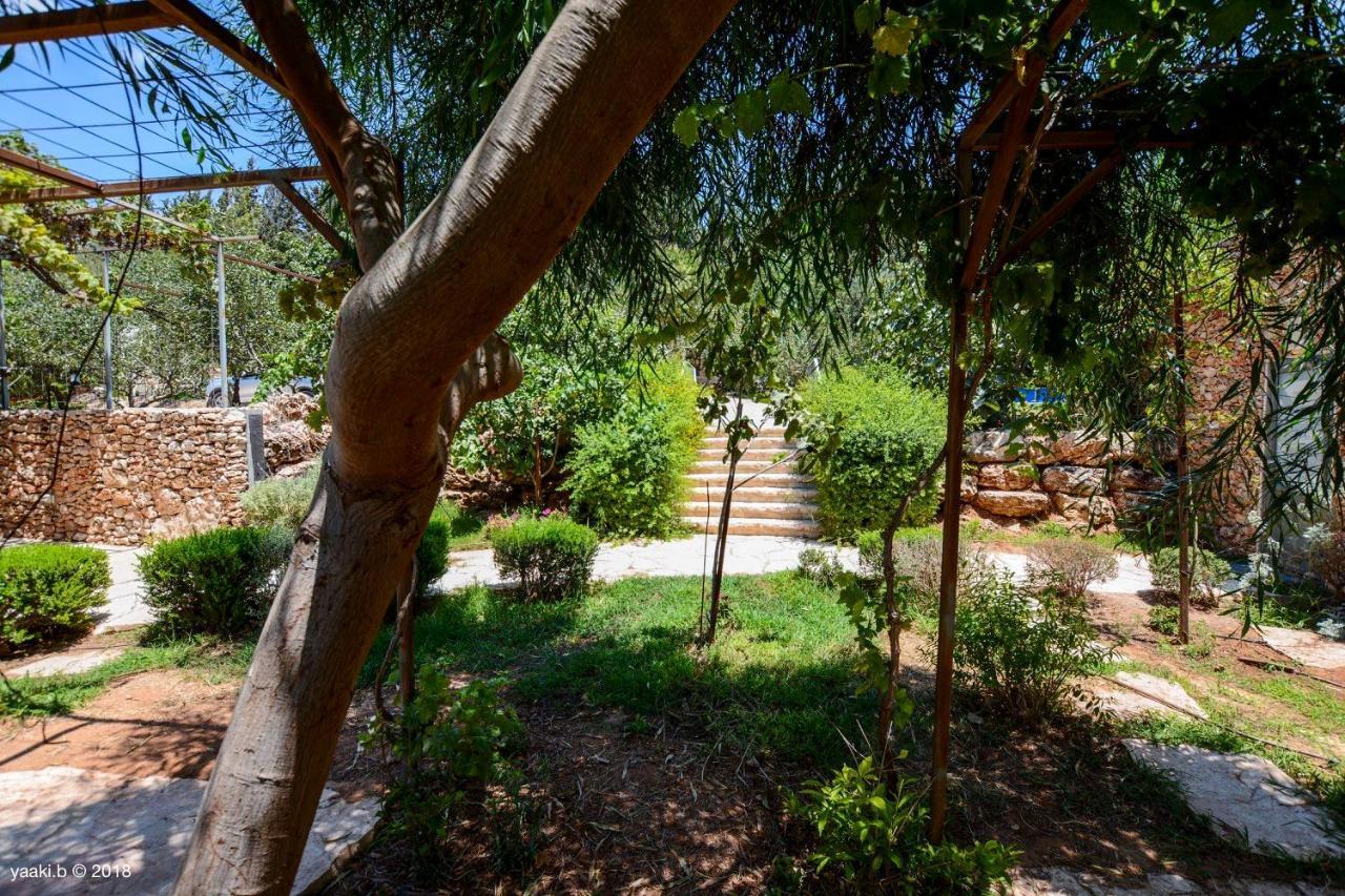Tur Sinai Organic Farm Resort Йерусалим Екстериор снимка