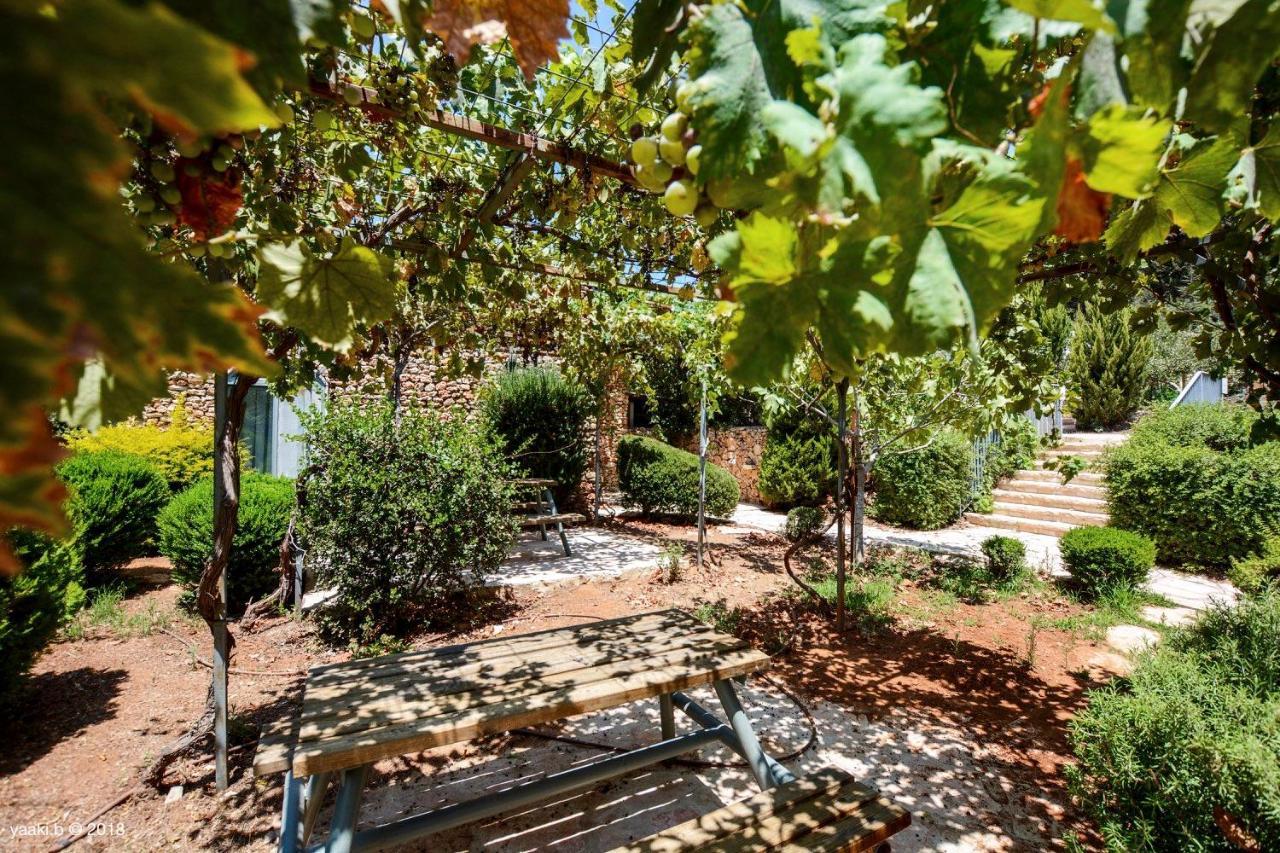 Tur Sinai Organic Farm Resort Йерусалим Екстериор снимка